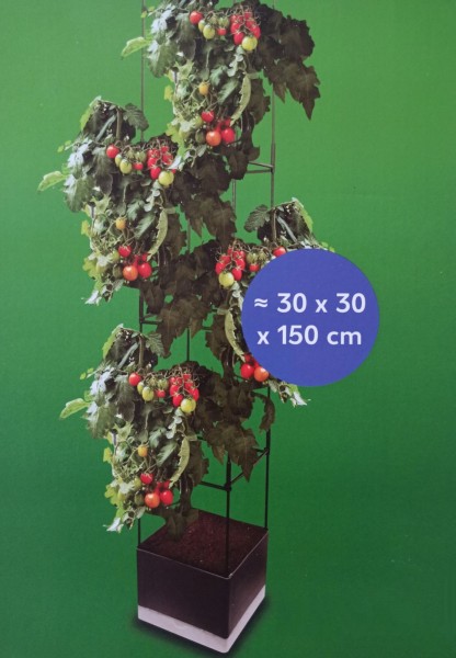 Countryside Věž na pěstování rajčat 150 x 30 x 30 cm