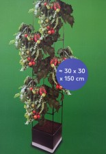 Countryside Věž na pěstování rajčat 150 x 30 x 30 cm