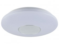 L&B Stropní LED svítidlo s Bluetooth reproduktorem 14164106L