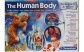 Clementoni Science & Play Lidské tělo