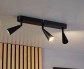 L&B Stropní LED svítidlo HG-12174C, černá