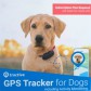 Tractive GPS Tracker